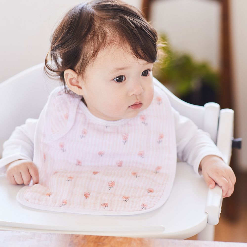 【aden + anais】alice in wonderland 3-pack classic snap bibs
