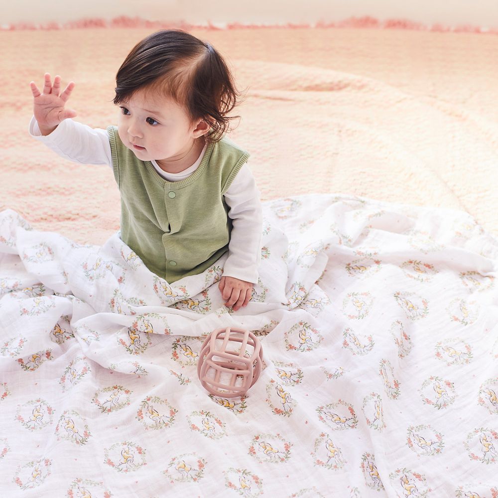 【aden + anais】alice in wonderland 3-pack classic swaddles