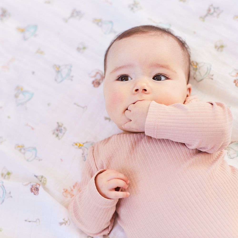 【aden + anais】alice in wonderland 3-pack classic swaddles