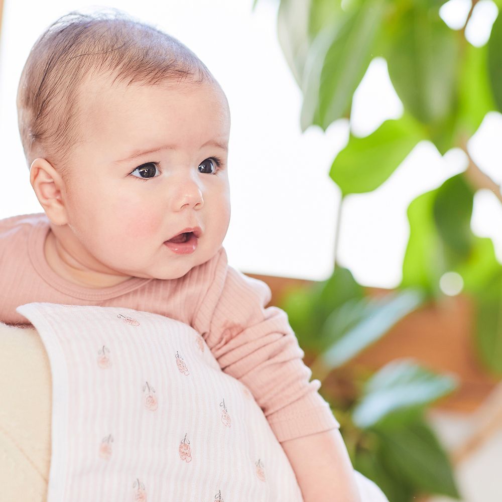 【aden + anais】alice in wonderland 3-pack classic washcloths