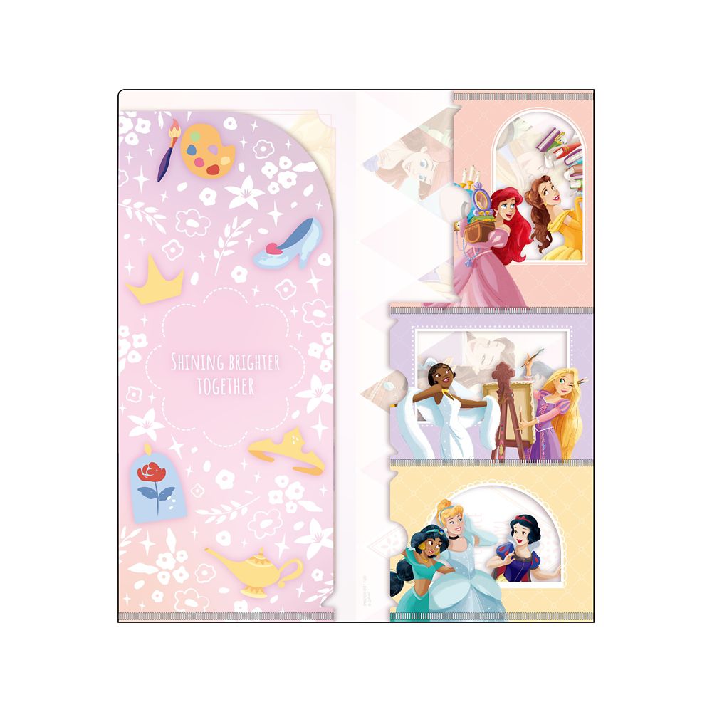 Disney Princess チケットホルダー