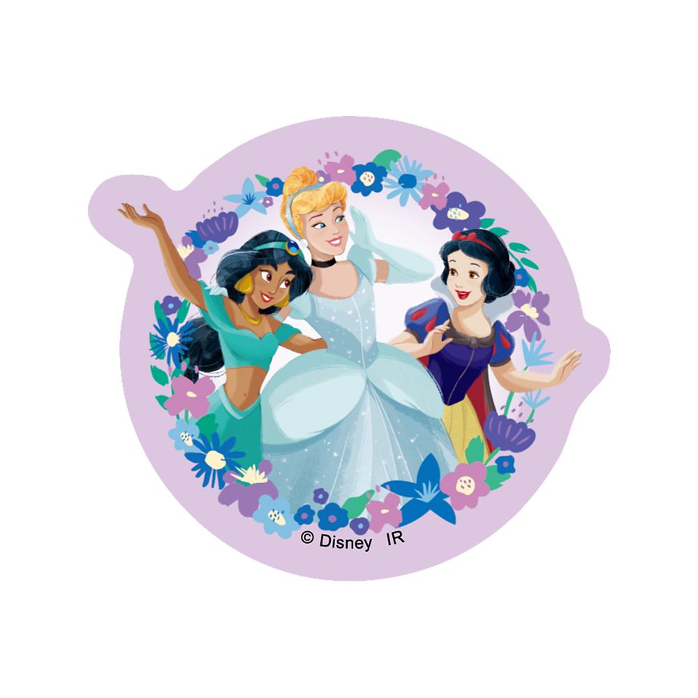 Disney Princess ステッカーセット