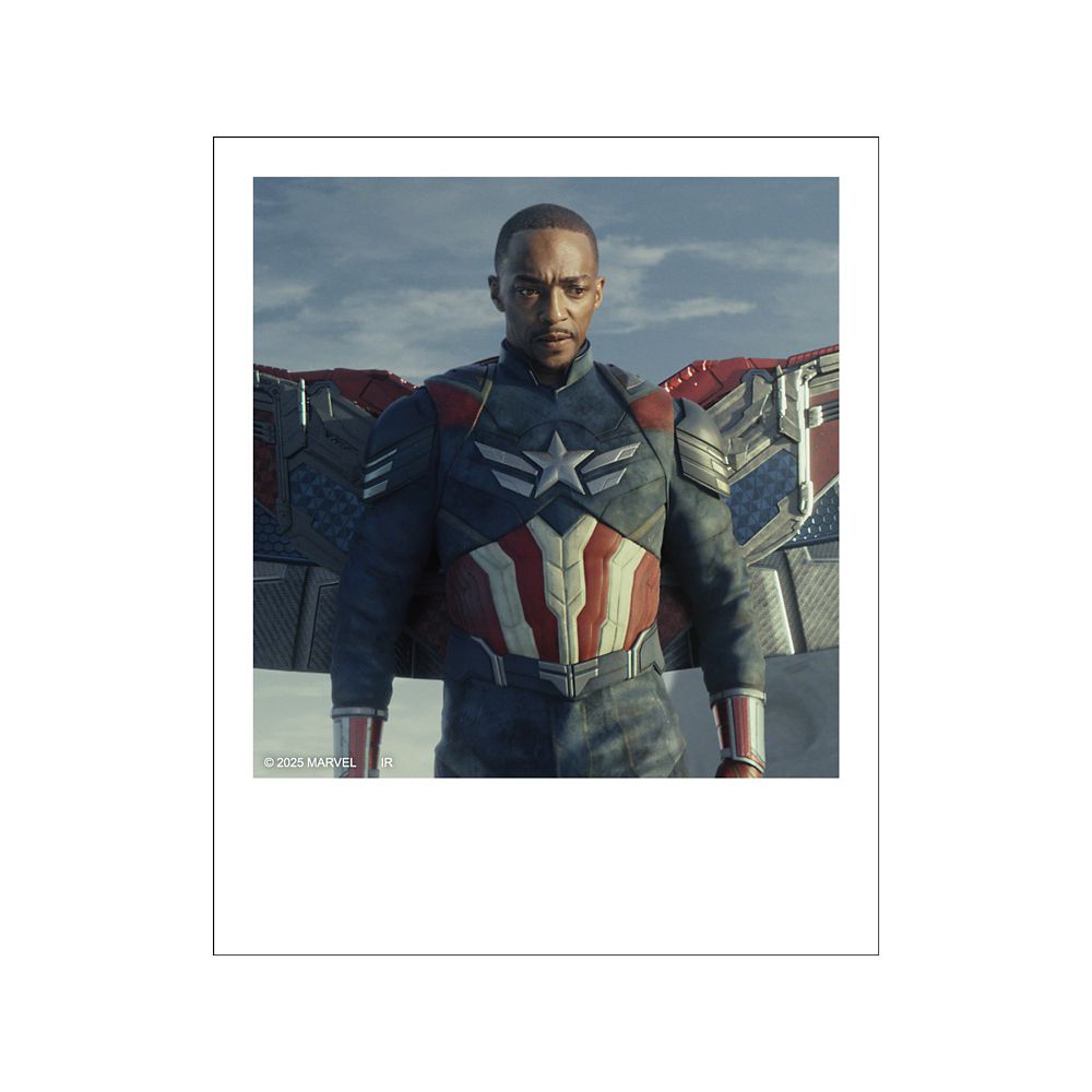 キャプテン･アメリカ:ブレイブ･ニュー･ワールド ポラロイド風ブロマイドコレクション※全12種