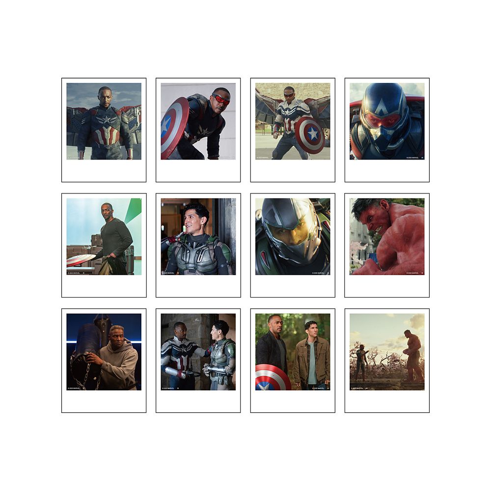 キャプテン･アメリカ:ブレイブ･ニュー･ワールド ポラロイド風ブロマイドコレクション※全12種