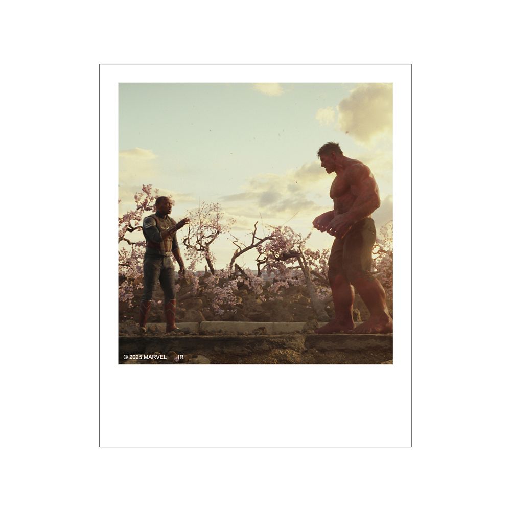 キャプテン･アメリカ:ブレイブ･ニュー･ワールド ポラロイド風ブロマイドコレクション※全12種