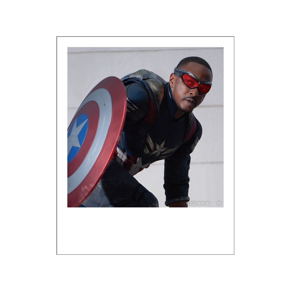 キャプテン･アメリカ:ブレイブ･ニュー･ワールド ポラロイド風ブロマイドコレクション※全12種