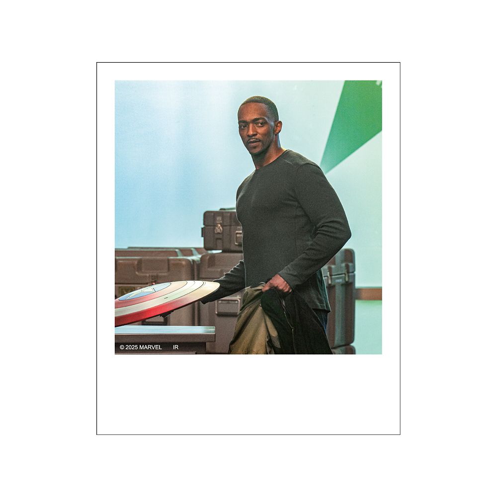 キャプテン･アメリカ:ブレイブ･ニュー･ワールド ポラロイド風ブロマイドコレクション※全12種