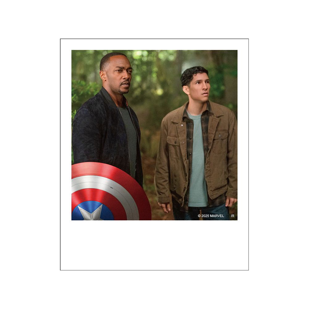 キャプテン･アメリカ:ブレイブ･ニュー･ワールド ポラロイド風ブロマイドコレクション※全12種