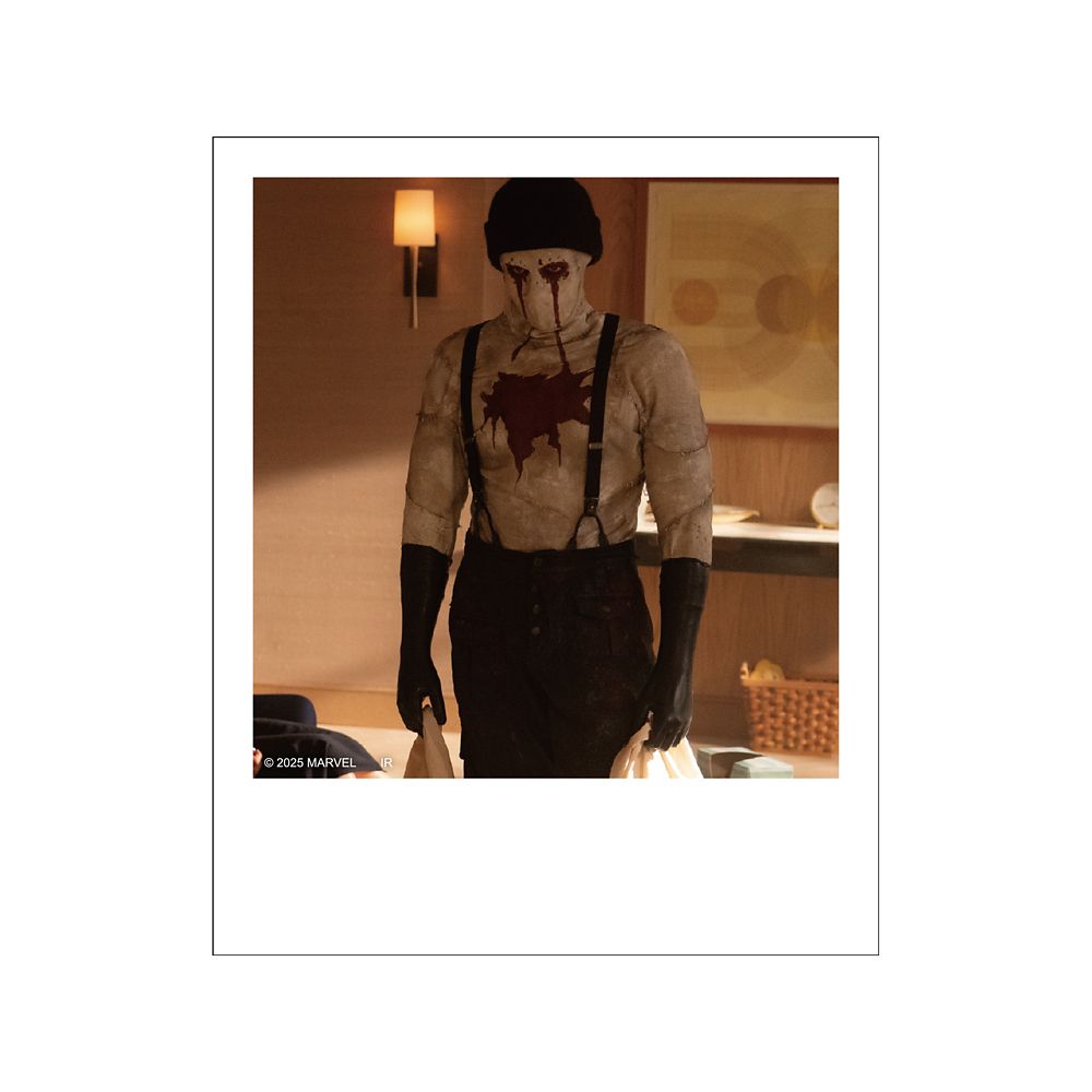 デアデビル ポラロイド風ブロマイドコレクション※全12種