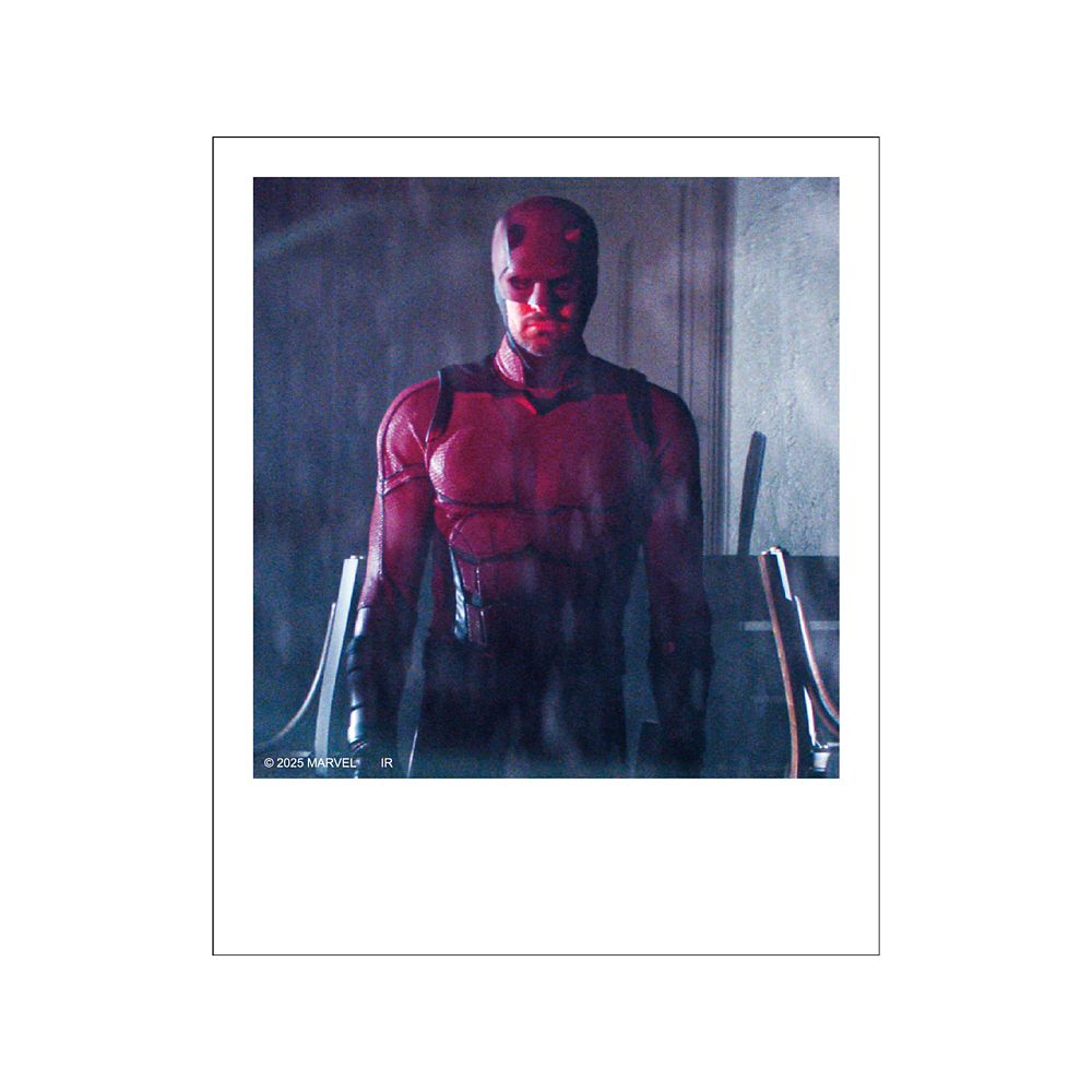 デアデビル ポラロイド風ブロマイドコレクション※全12種