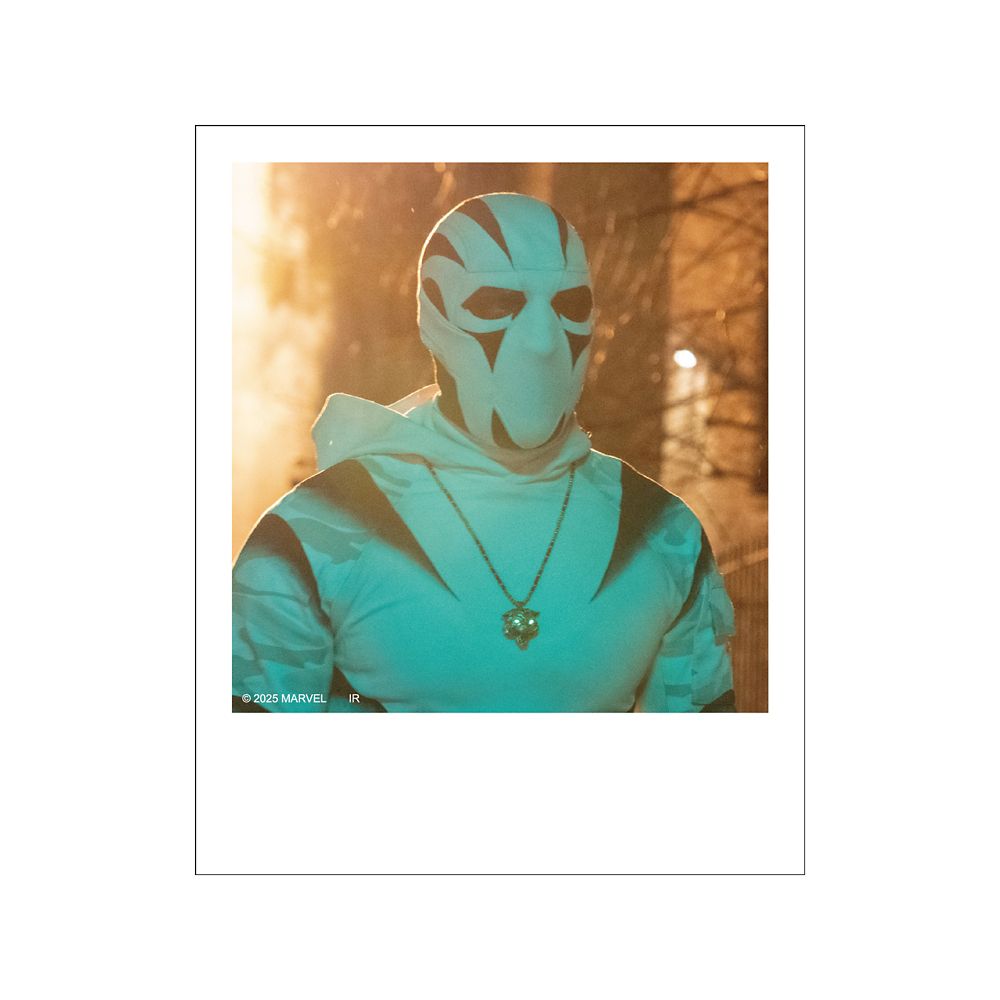 デアデビル ポラロイド風ブロマイドコレクション※全12種