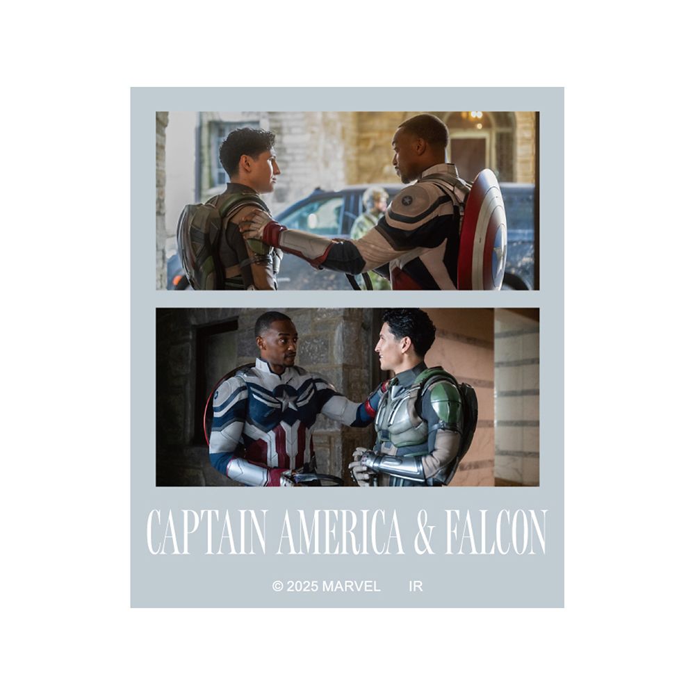 キャプテン･アメリカ:ブレイブ･ニュー･ワールド フォトステッカーコレクション※全10種