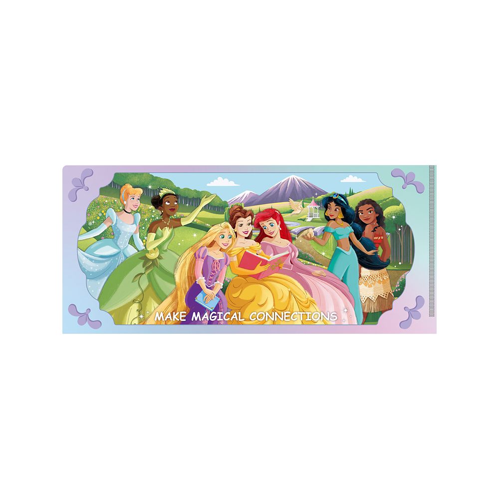 ディズニープリンセス チケットホルダー