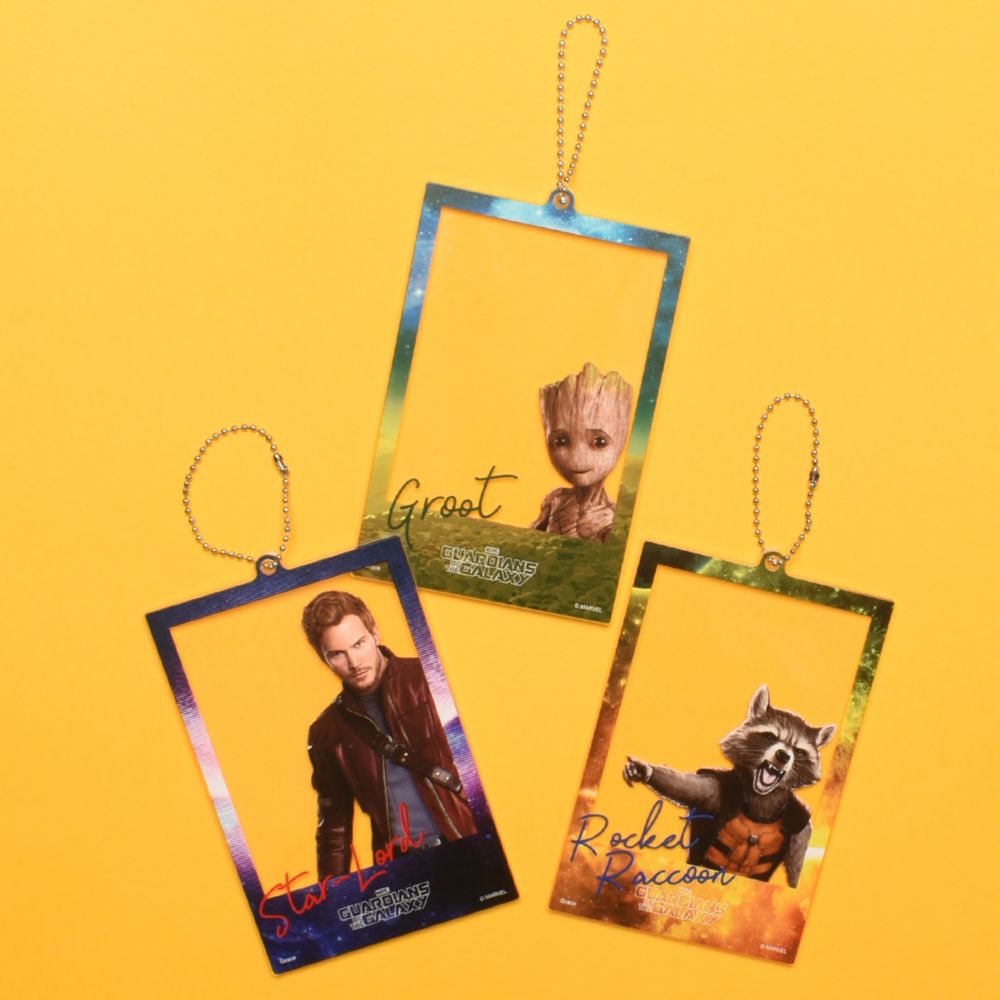 ガーディアンズ・オブ・ギャラクシー グルート フォトフレーム風アクリルキーホルダー