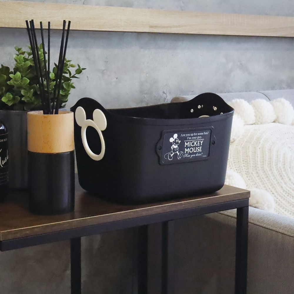 ミッキーマウス　ミニやわらかバケツＳＱ５ADブラック