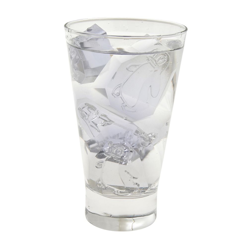 公式 ショップディズニー ドナルド アイストレー Polar Trappers