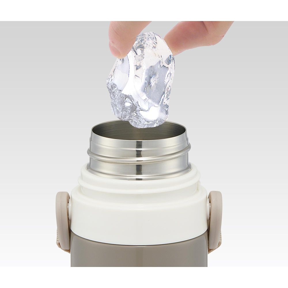 スケーター　キャップを替えて使い方 2通り2WAYステンレスボトル くまのプーさん  SKCP3