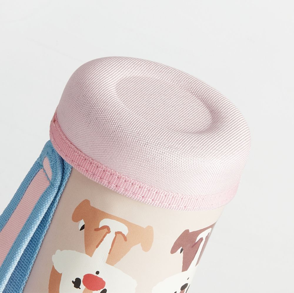 スケーター　カバー付き 直飲みステンレス水筒 600ml　チップ＆デール／KSTCH6_574559