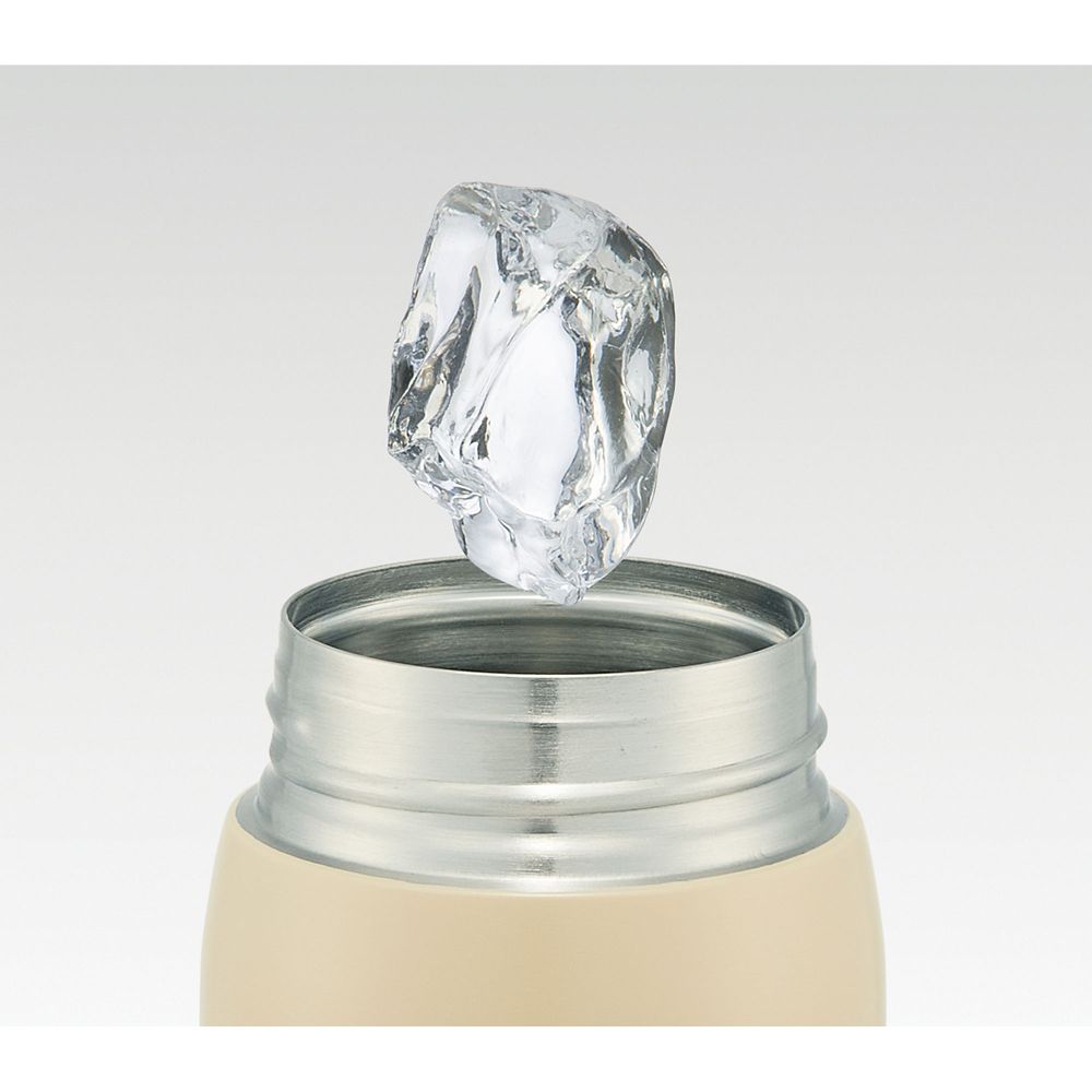 スケーター　ステンレスワンタッチマグボトル[480ml] チップ＆デール  STOT5