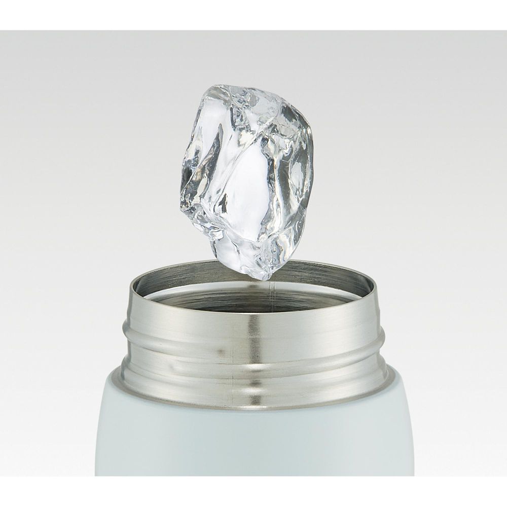 スケーター　ステンレスワンタッチマグボトル[480ml] アリス  STOT5