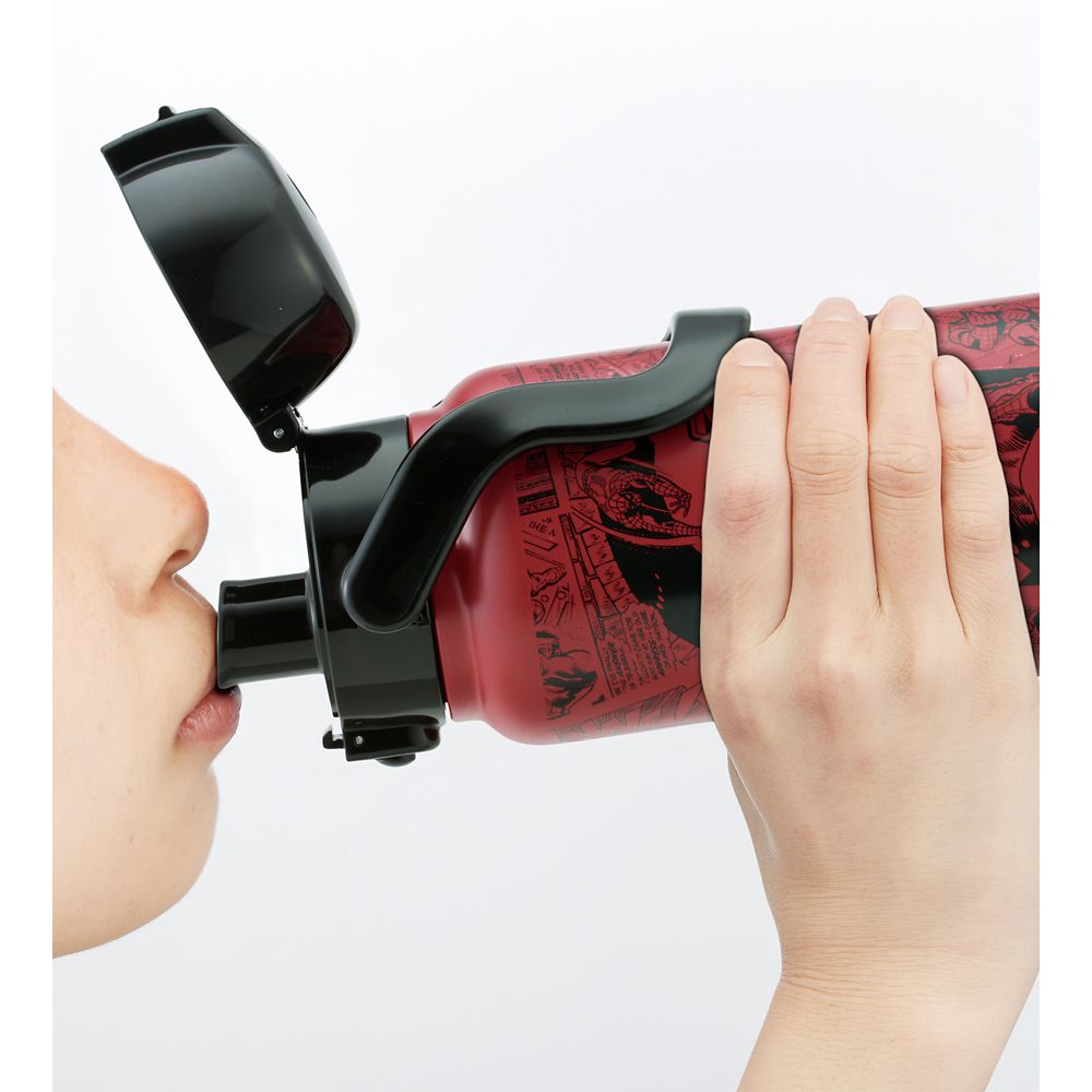 スケーター　ハンドル付ダイレクトボトル  スパイダーマン／STD8H_591310