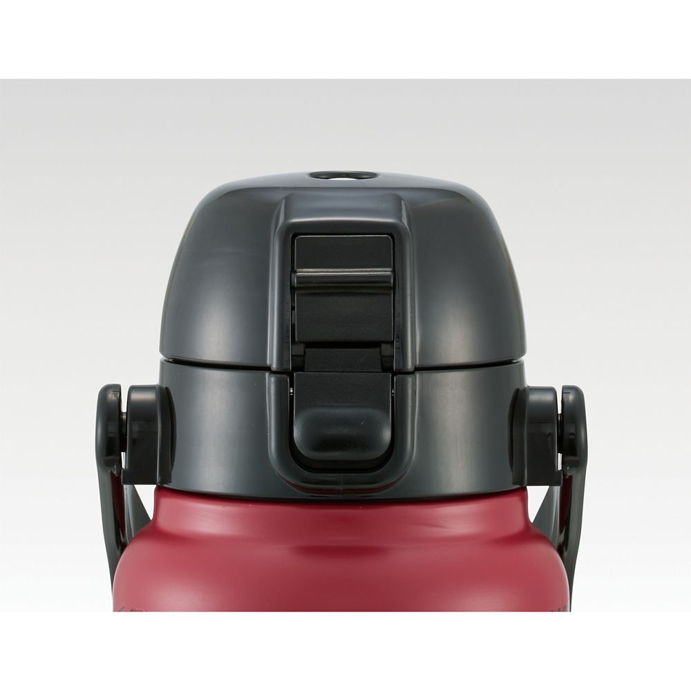 スケーター　ハンドル付ダイレクトボトル  スパイダーマン／STD8H_591310