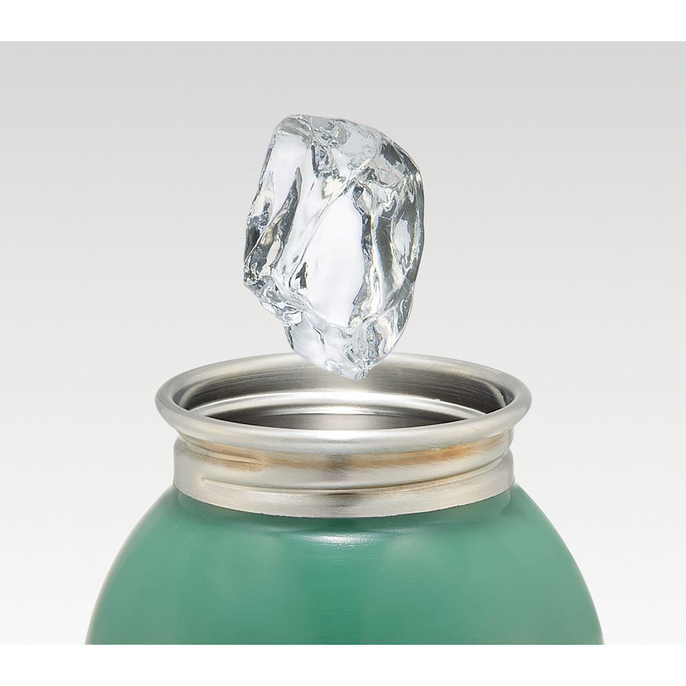 スケーター　ステンレス一層ボトル  くまのプーさん／SSSC6_591747