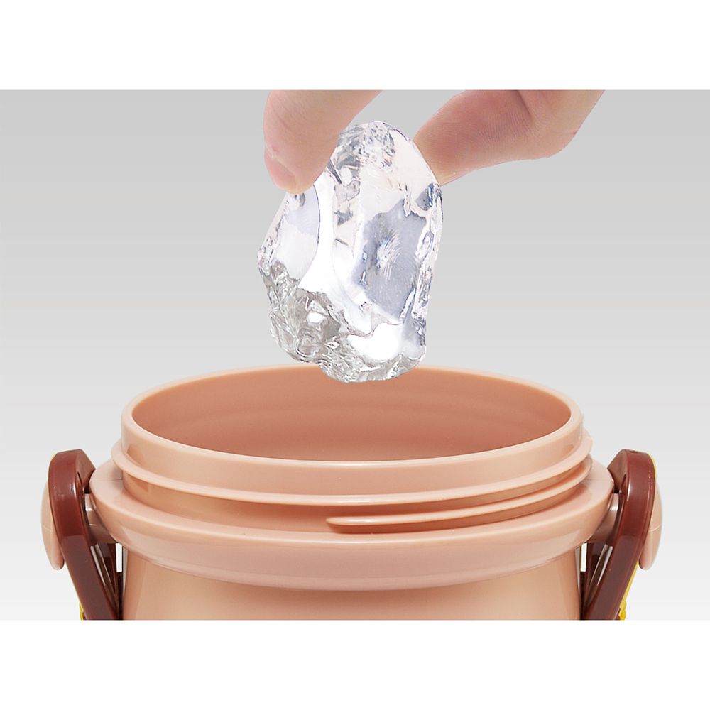 スケーター　抗菌食洗機対応直飲み水筒480ml ミニーマウス レトロ  PSB5SANAG