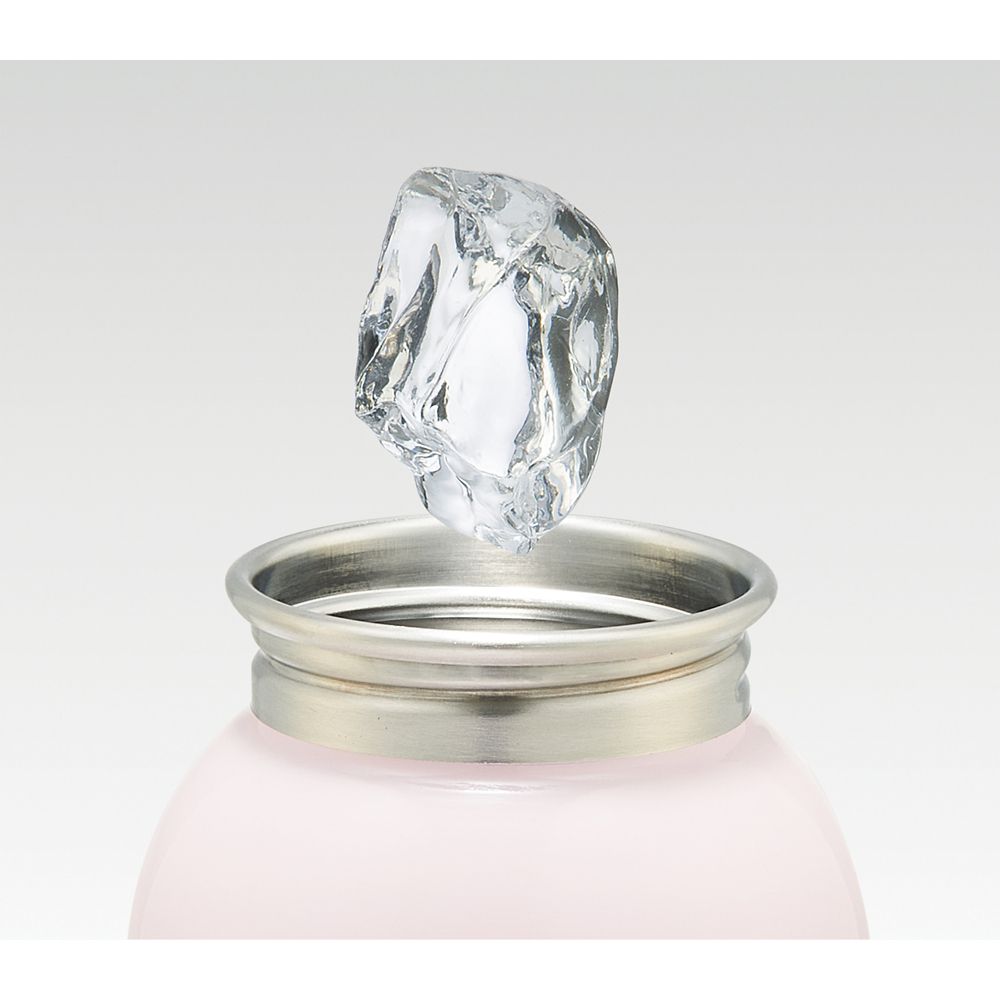 スケーター　ステンレス一層ボトル  プリンセス／SSSC4_592904