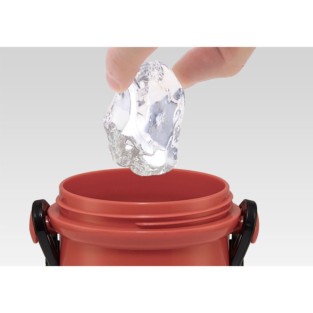 スケーター　抗菌食洗機対応直飲み水筒子供用480ml ベイマックス  PSB5SANAG