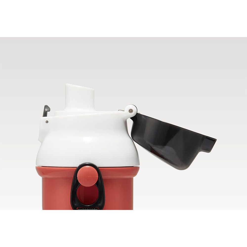 スケーター　抗菌食洗機対応直飲み水筒子供用480ml ベイマックス  PSB5SANAG