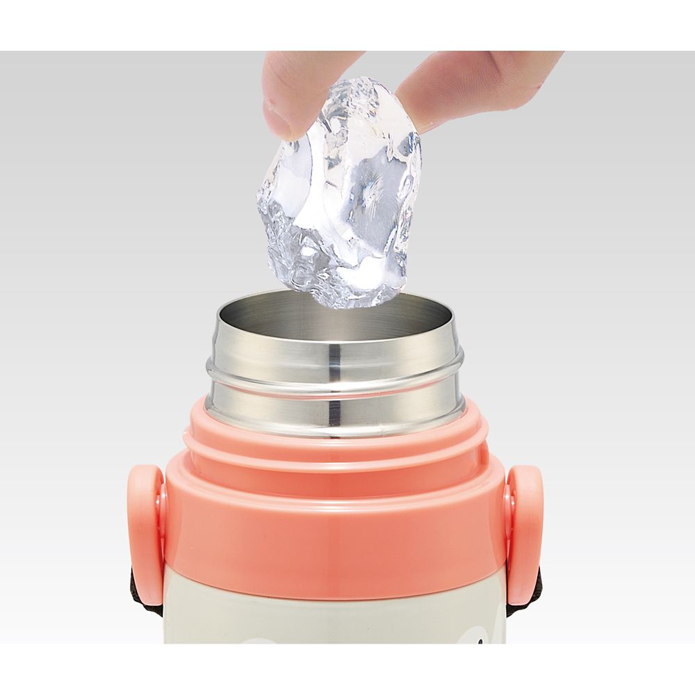 スケーター　超軽量２ＷＡＹステンレスＢ  ベイマックス／SKDC4_596063