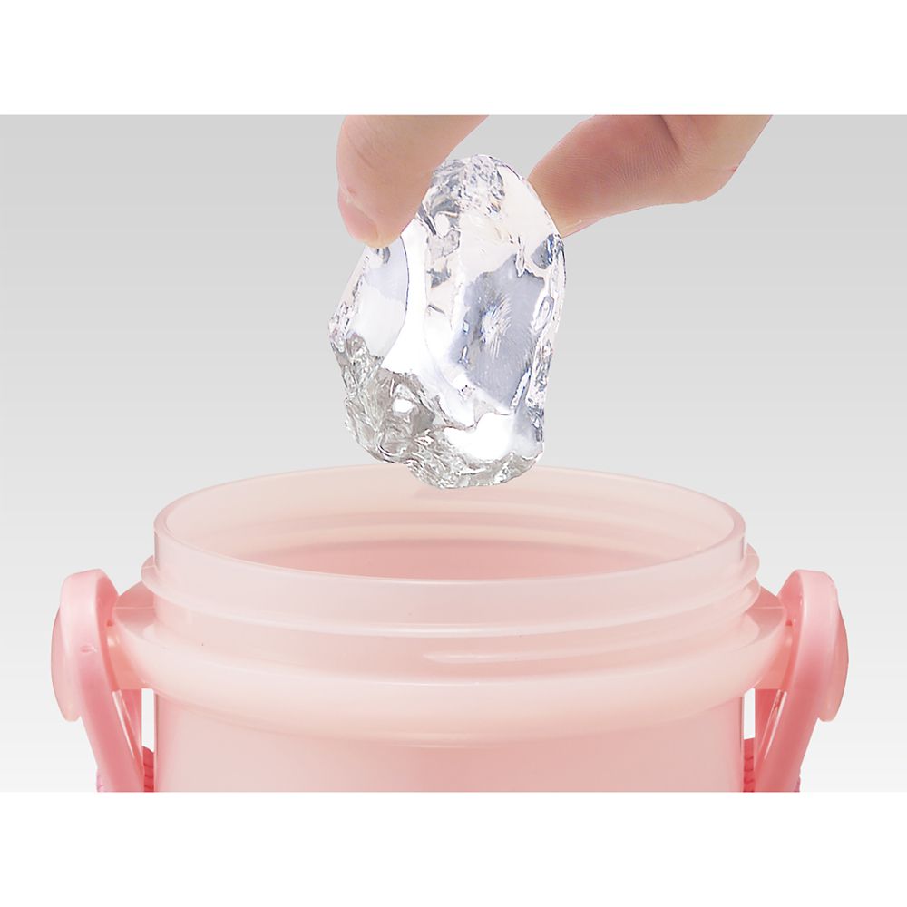 スケーター　抗菌直飲プラボトル  プリンセス２３／PSB5SANAG_604225