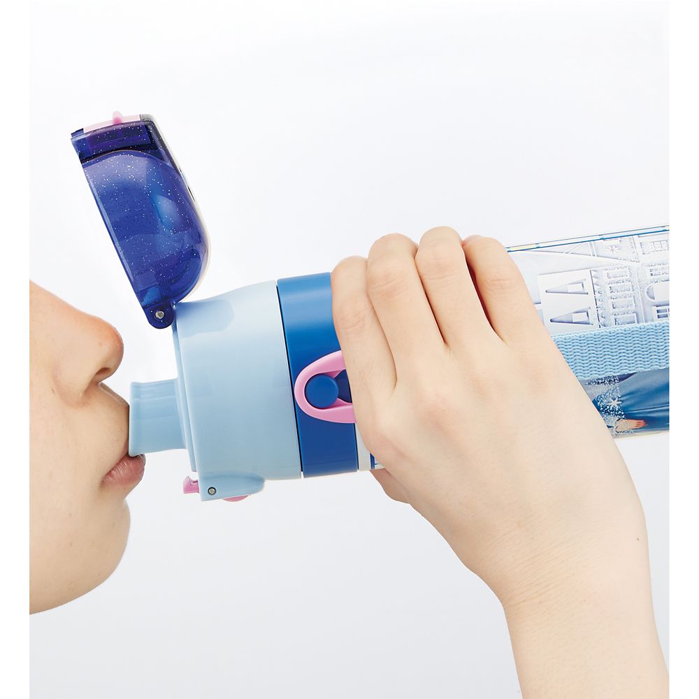 スケーター　超軽量２ＷＡＹステンレスＢ  アナと雪の女王２３／SKDC4_604454