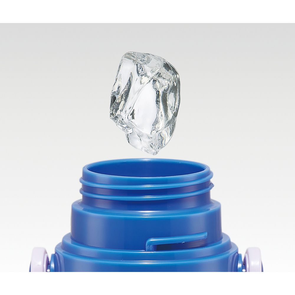 スケーター　超軽量２ＷＡＹステンボトル  アナと雪の女王２３／SKDC6_604461