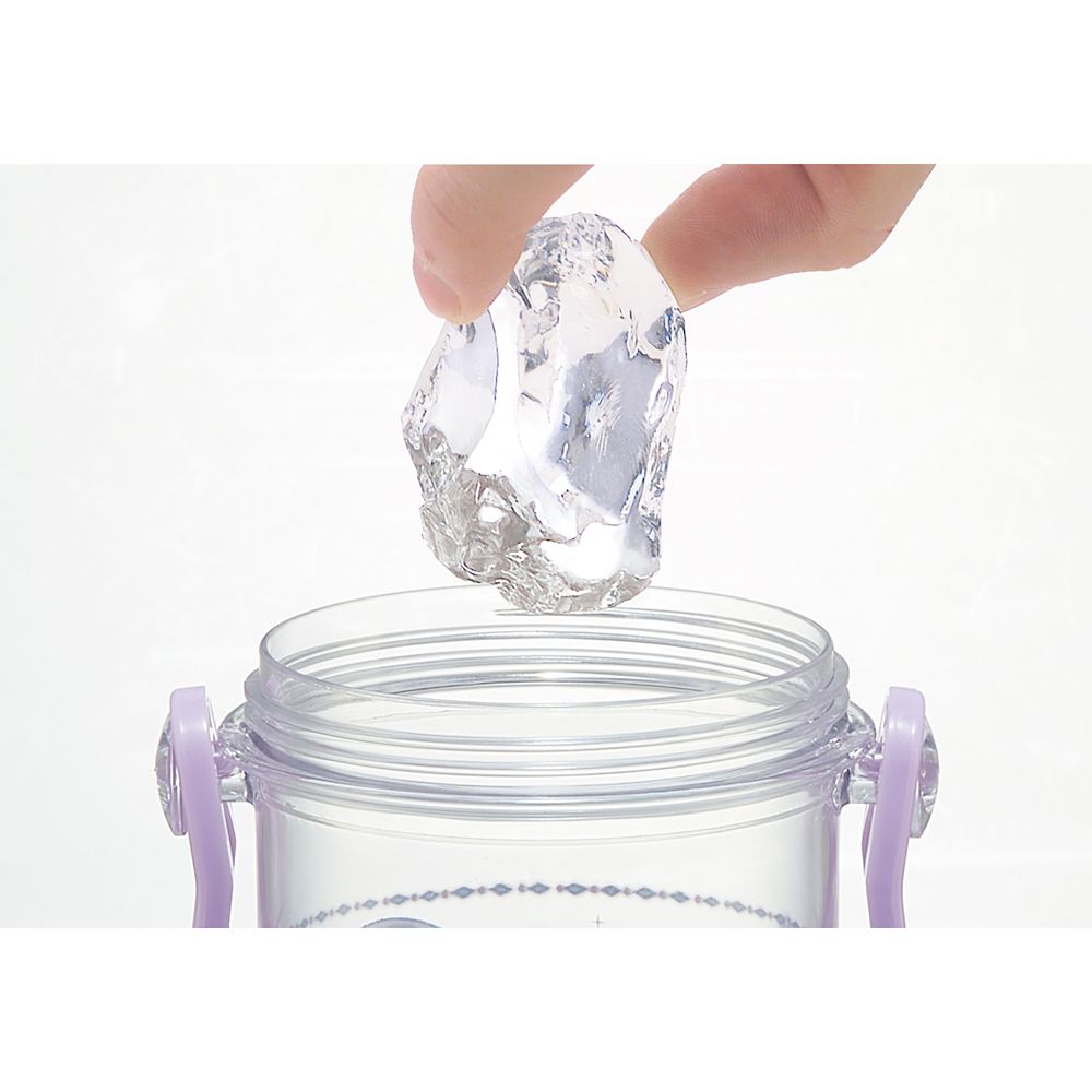 スケーター　食洗機対応プラクリアボトル  アナと雪の女王２３／PSB5TR_604492