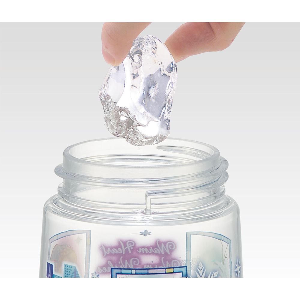 スケーター　ワンプッシュストローボトル  アナと雪の女王２３／PDSH5_604515