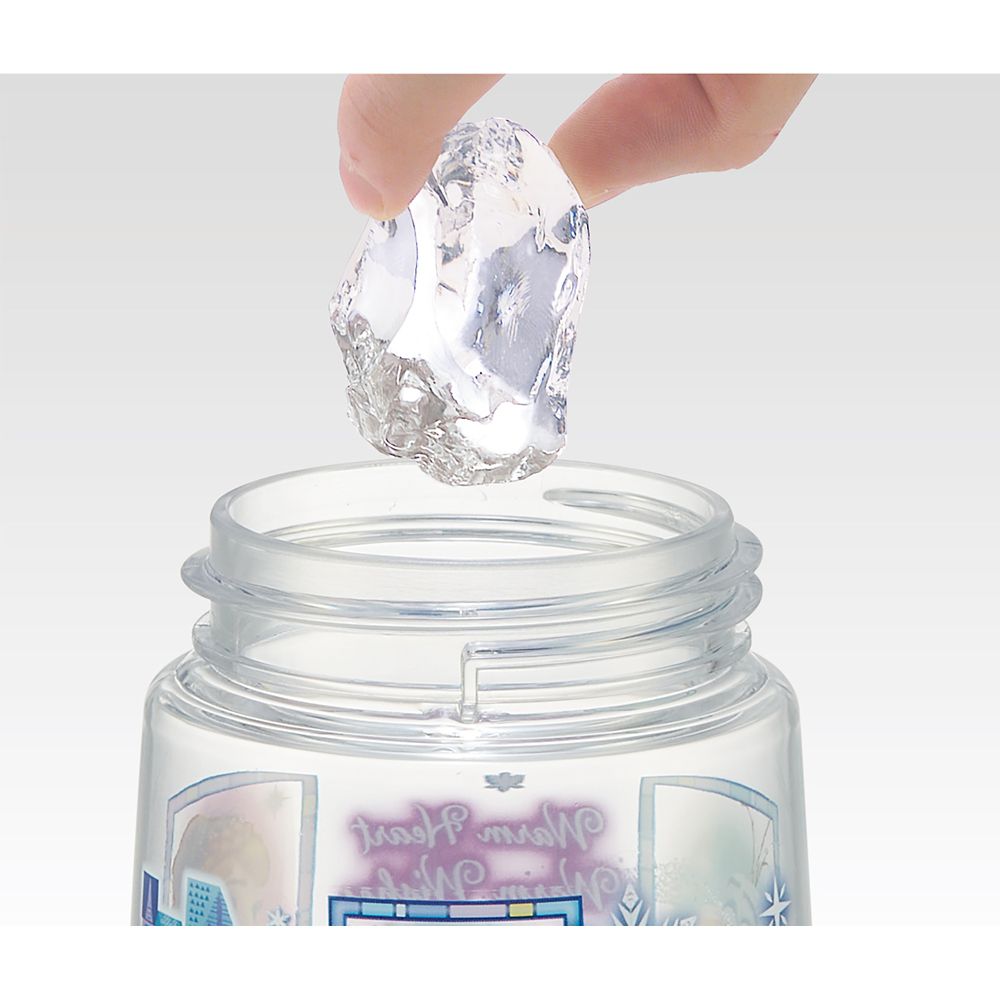 スケーター　ワンプッシュダイレクトボトル  アナと雪の女王２３／PDDR5_604522