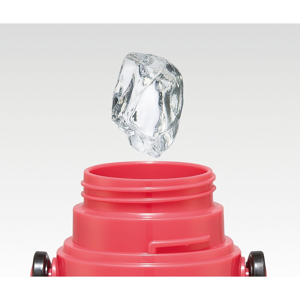 スケーター　超軽量２ＷＡＹステンボトル  カーズ２３／SKDC6_604966