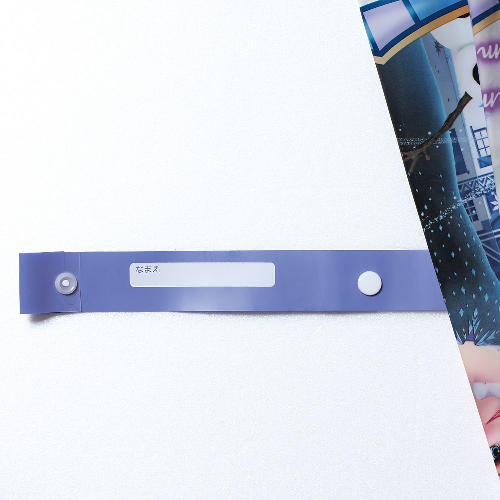 スケーター　ドーム型ビニール傘  アナと雪の女王／UBVD55_618918