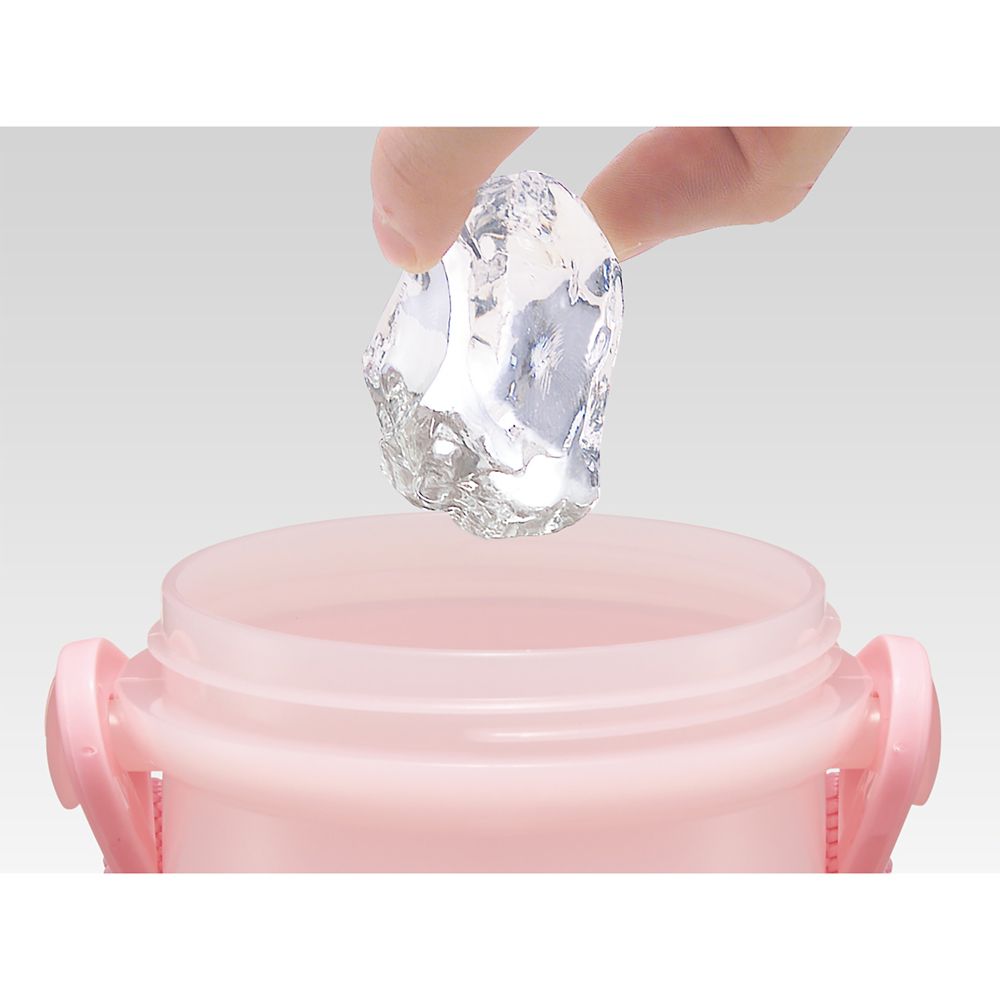 スケーター　直飲みコップ付きプラ水筒  プリンセス２３／PSB5KD_622908