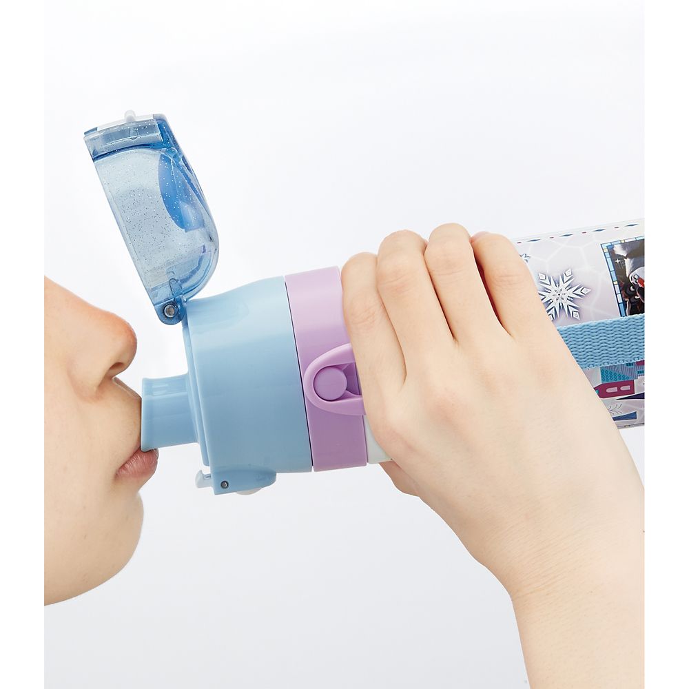 スケーター　子供用２ＷＡＹボトル  アナと雪の女王２３／SKDC3_628481