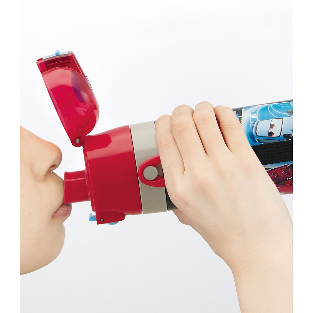 スケーター　子供用２ＷＡＹボトル  カーズ２３／SKDC3_628511