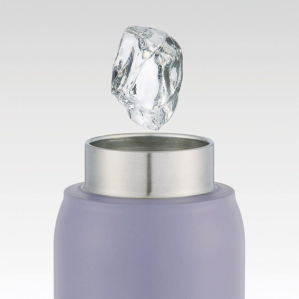 スケーター　炭酸飲料対応真空ステンレスボ  ミッキーフレンズ グレイッシュ／STSL5_641855