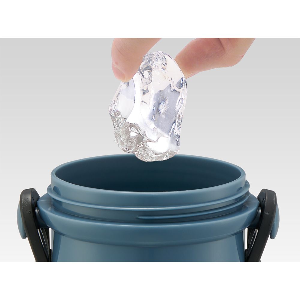 スケーター　抗菌直飲プラボトル  カーズ２４／PSB5SANAG_658723