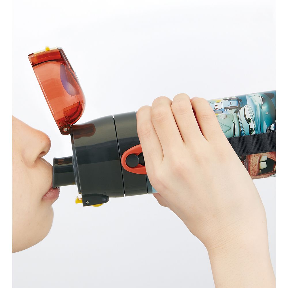 スケーター　超軽量２ＷＡＹステンレスボトル  カーズ２４／SKDC4_658778