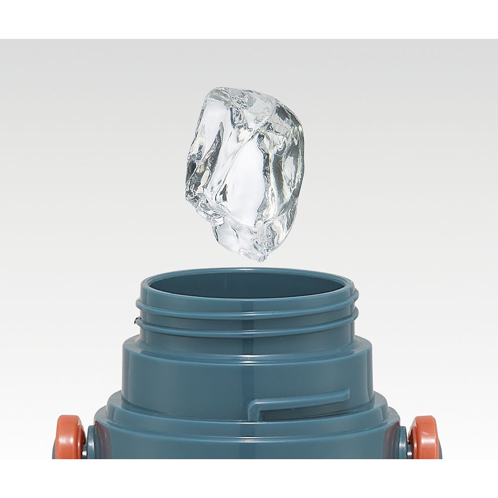 スケーター　超軽量２ＷＡＹステンボトル  カーズ２４／SKDC6_658792