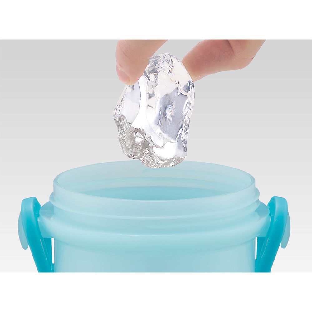 スケーター　抗菌直飲プラボトル  アリエル２４／PSB5SANAG_658983