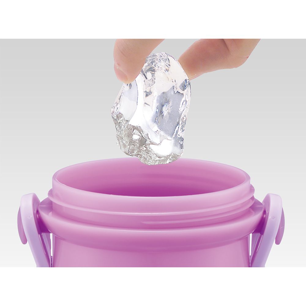 スケーター　抗菌直飲プラボトル  ラプンツェル２４／PSB5SANAG_659270