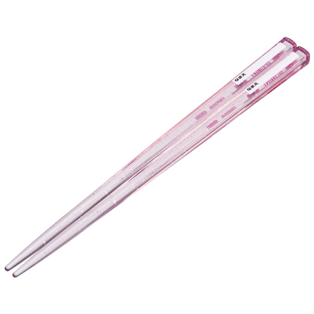 スケーター　抗菌食洗機対応箸箱セット  プリンセス２４／ABS2AMAG_659751